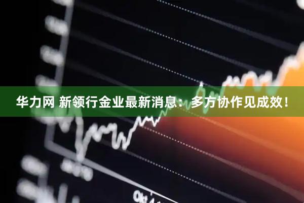 华力网 新领行金业最新消息：多方协作见成效！