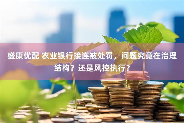 盛康优配 农业银行接连被处罚，问题究竟在治理结构？还是风控执行？